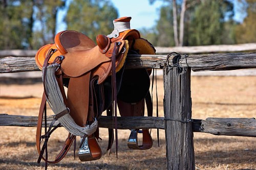 horse saddles for sale