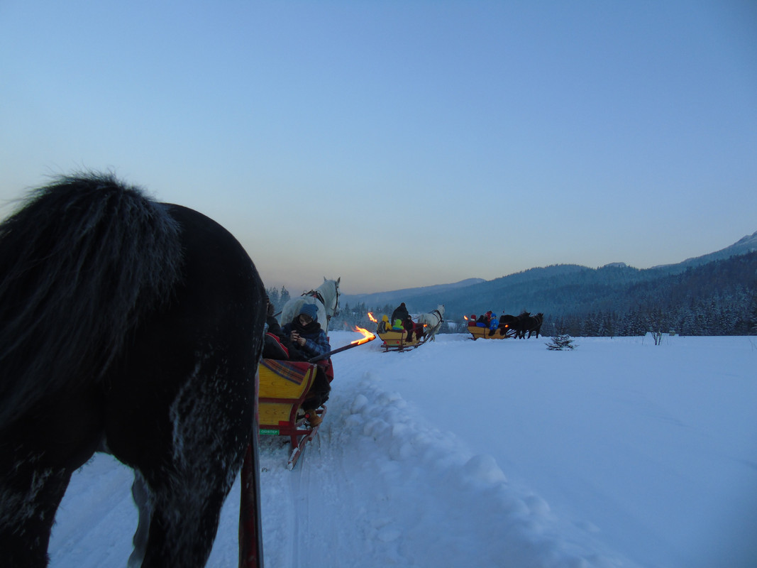 16.17 - DSC05139 (PawelK)