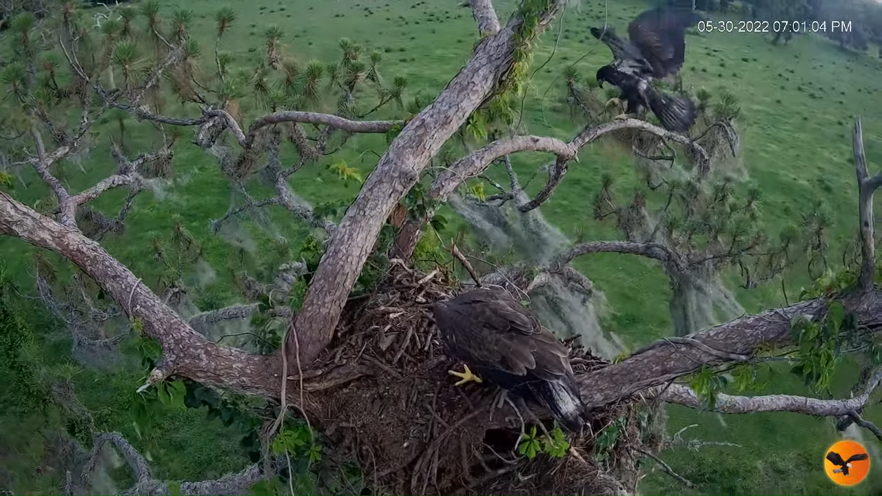 EC 4K Overhead Cam 10-35-11 screenshot