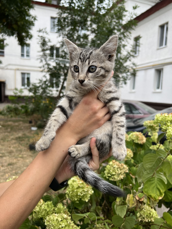 81495F2B-618D-4971-A386-084BCD3CCF6A