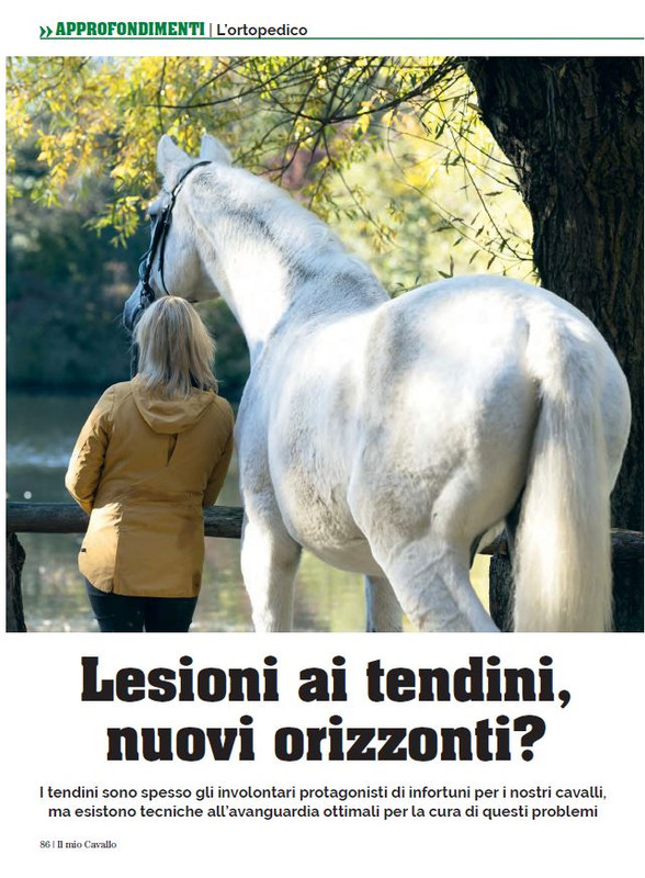 Il Mio Cav (Nov 2022) 9