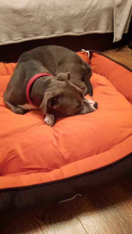 E75D77DB-9F82-40D0-A601-F6D714FC645A