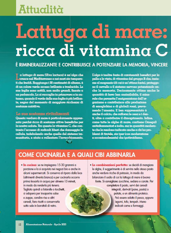 Alim Nat Apr 2023 (1)