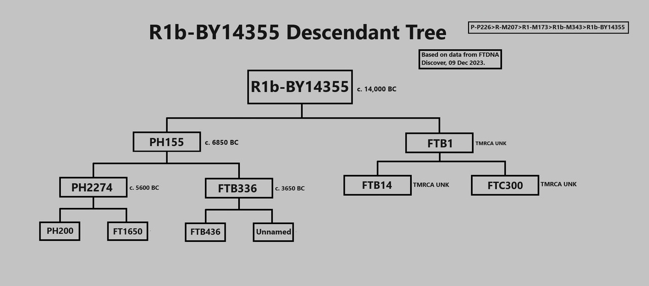 [Image: R1b-BY14355-Descendant-Tree.jpg]