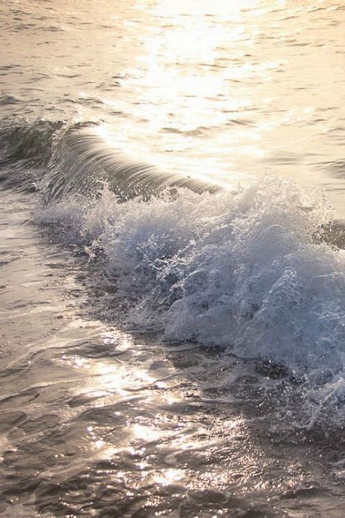 ���� ���� ������ �� ���� ������