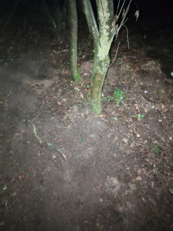 IMG 20251121 212717 914