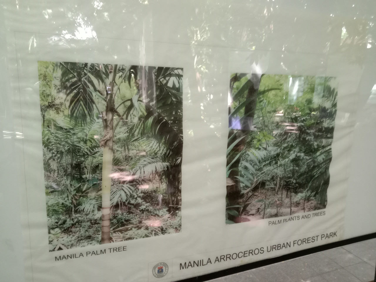 Arroceros Forest Park Manila Bagras20260715 142205