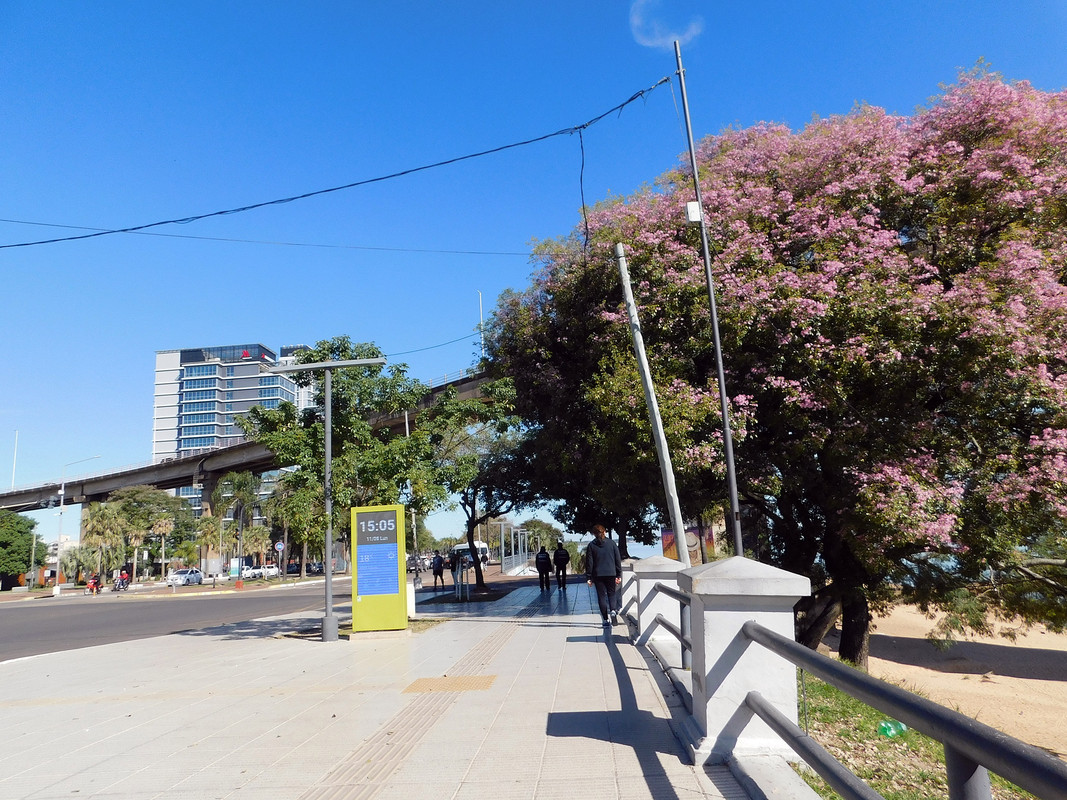 DSCN0195.jpg