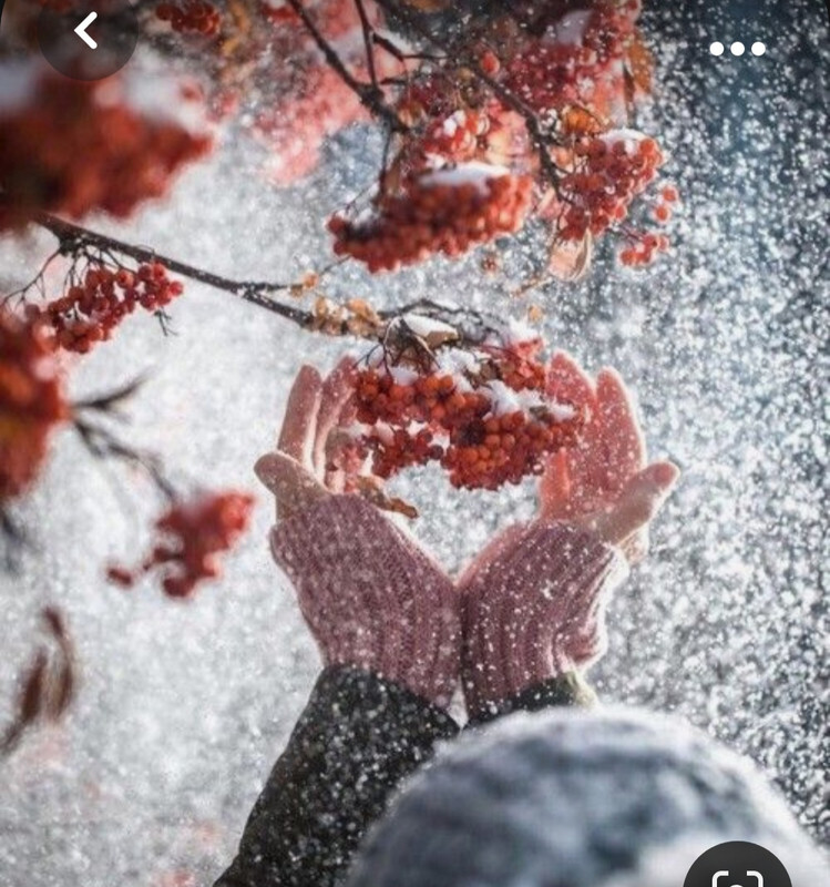 Screenshot_20231102_133452_Pinterest