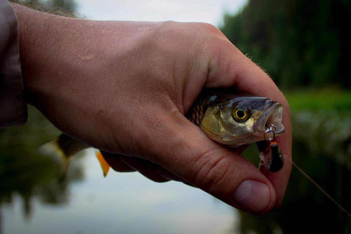 без имени-31