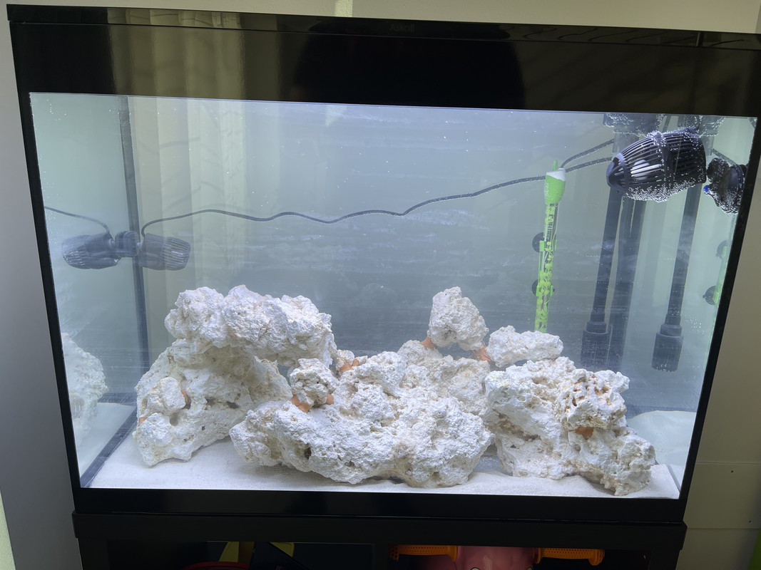 571636AD-2F32-4CD0-AF2B-01E32887D8E8