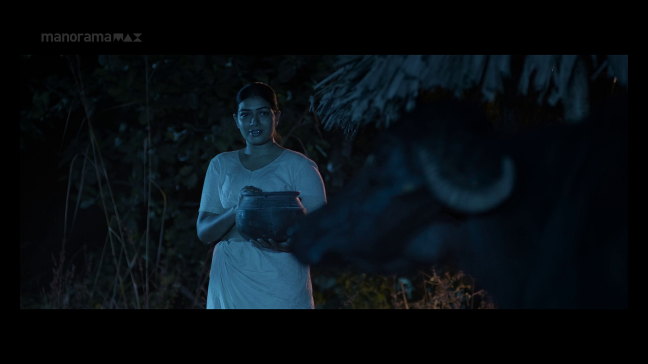 vlcsnap 2026 02 02 13h49m28s470