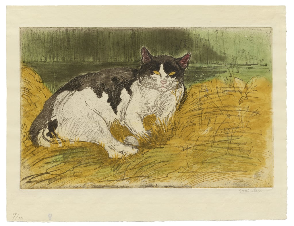 2-Theophile-Alexandre-Steinlen-Old-Black-and-White-Cat-in-the-Grass-Meister-Drucke-900714