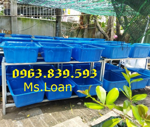 Thùng nuôi cá chữ nhật 1000L, thùng nhựa chữ nhật nuôi cá koi cảnh / 0963.839.593 Ms.Loan Khay-nhua-chu-nhat-khay-trong-rau