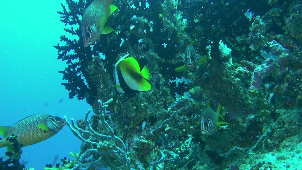 vlcsnap-2023-12-21-21h34m18s558