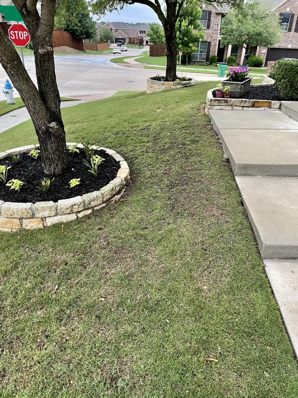 Inkedthumbnail_IMG_1449_LI