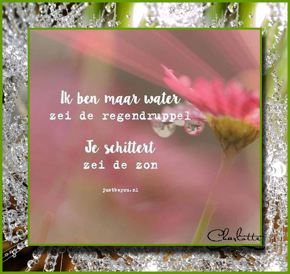 regendruppel-in-de-zon