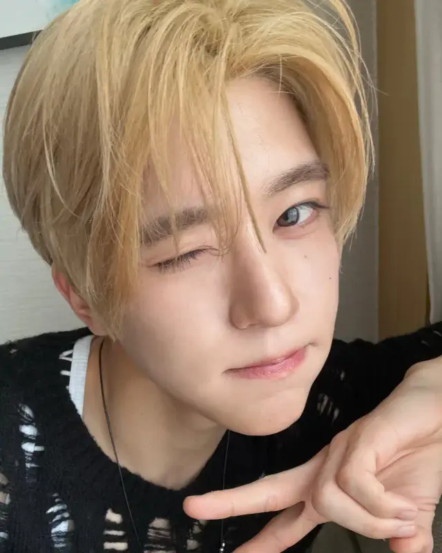 20250604_172717_copy_1229x1536