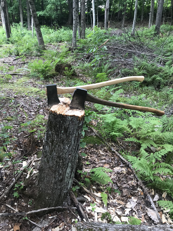 03BF6062-4709-49B0-9F36-505BD99AF691