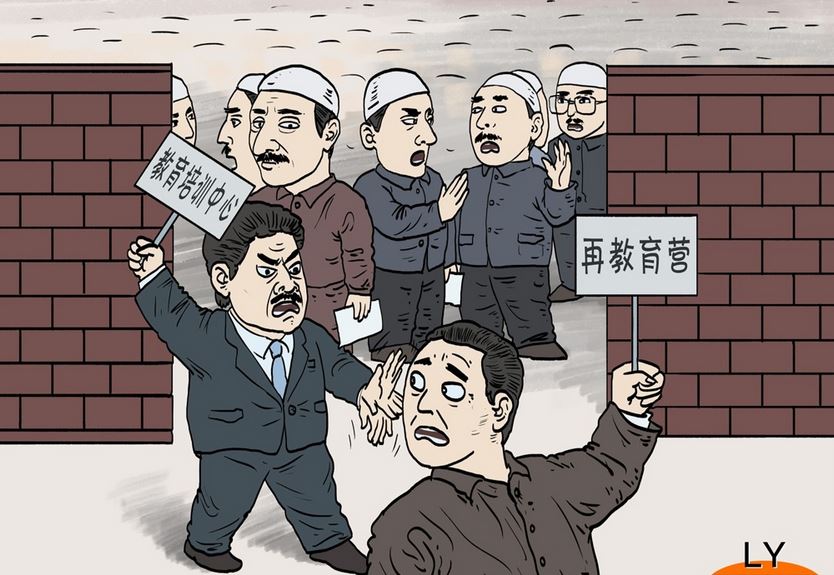 文章配图