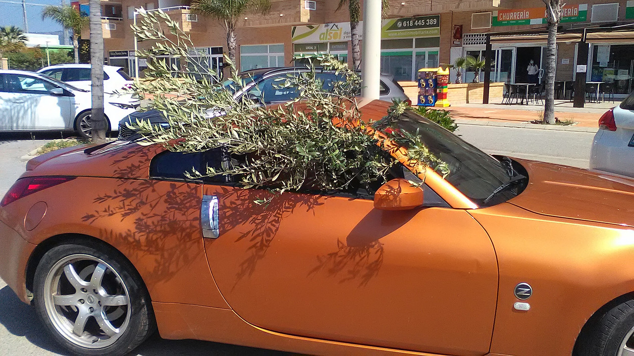 WP_20210508_11_44_53_Pro