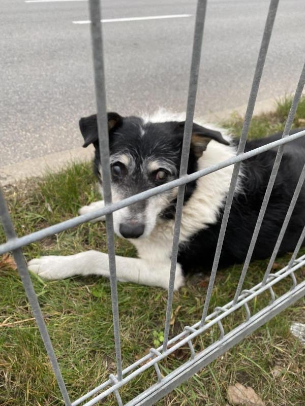 40FE6DAC-3045-42F6-BB02-EDEF1CC07604