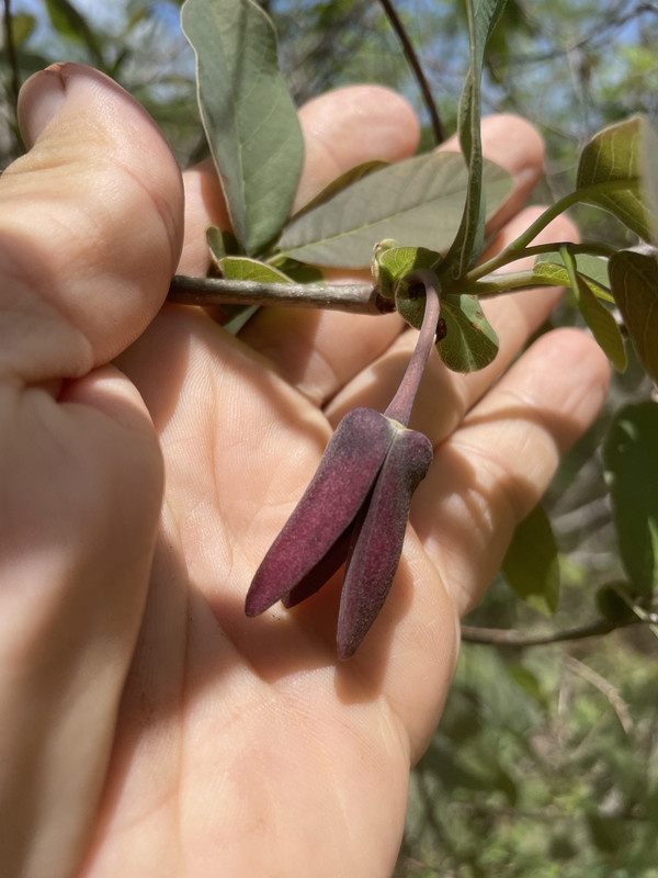 B751BE87-A72A-4089-8942-DE6A38935F88