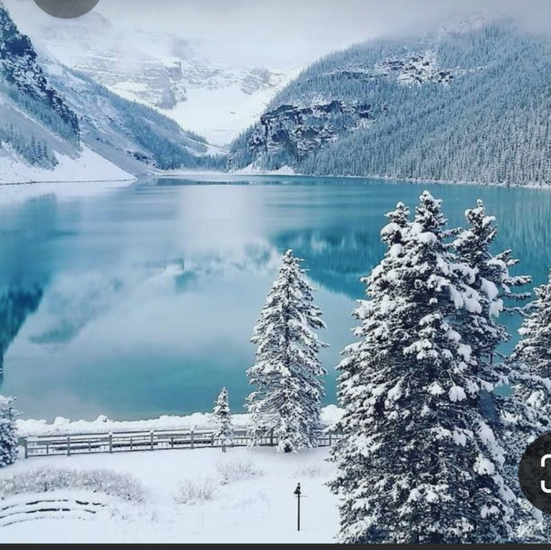 Screenshot_20230307_003301_Pinterest