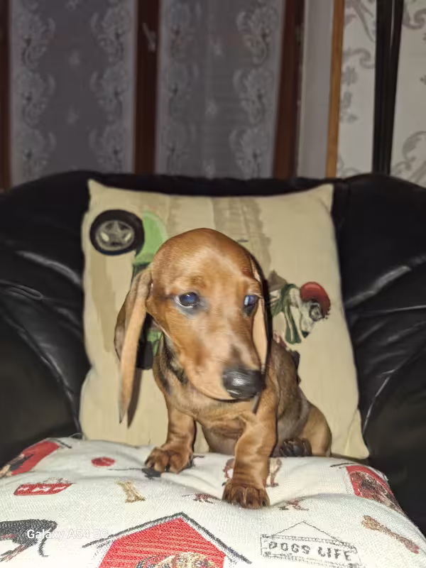 [Image: 20240930-174449.avif]