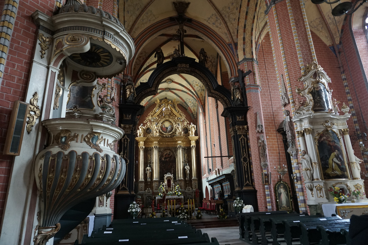 20.29 - DSC08125 (zbychowiec)