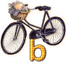 Bici Porta Flores  B