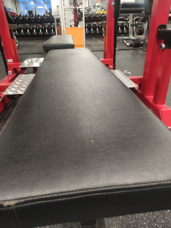 17091672555272730687383251363195