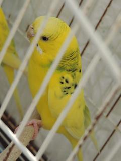 DSCN5351
