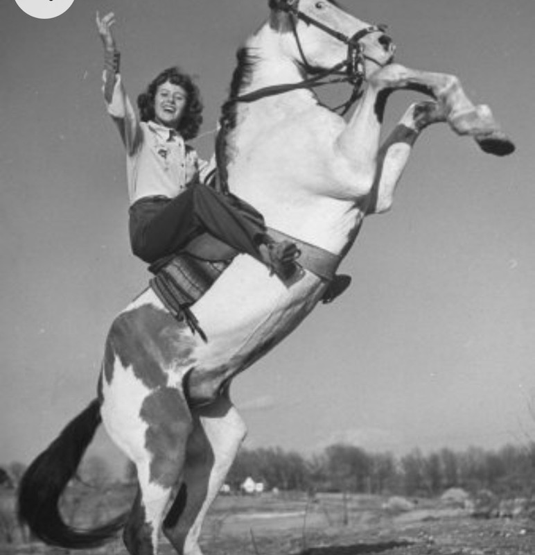 Screenshot_20230211_005930_Chrome