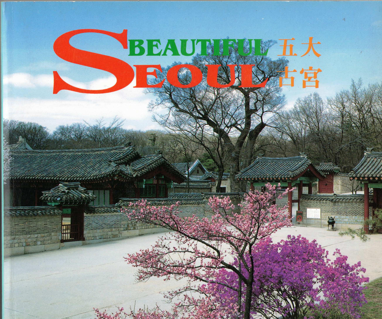 Beautiful Seoul