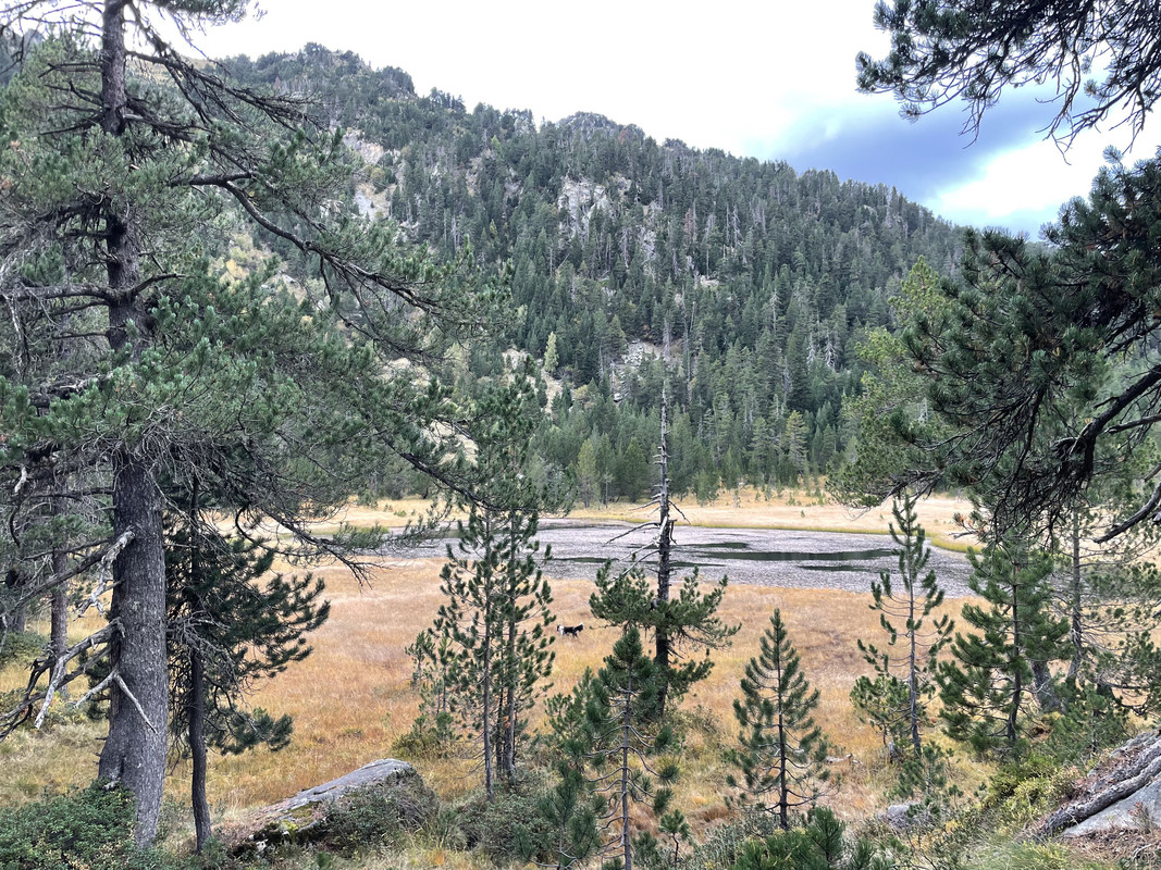 Valle de Arán / Vall d'Aran - Lérida (Pirineos, Lleida) - Forum Catalonia