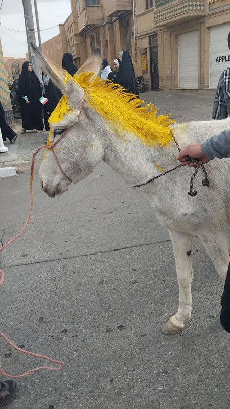 ۲۰۲۶۰۲۱۲ ۱۸۵۵۴۶