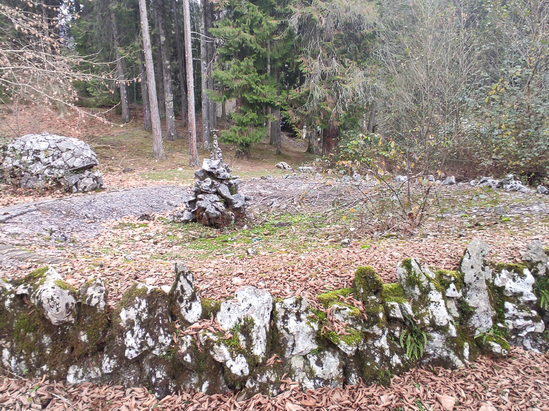 IMG-20211208-140622.jpg