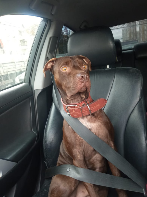 C2DACE45-2173-4AD1-9EEA-B4F67913A109