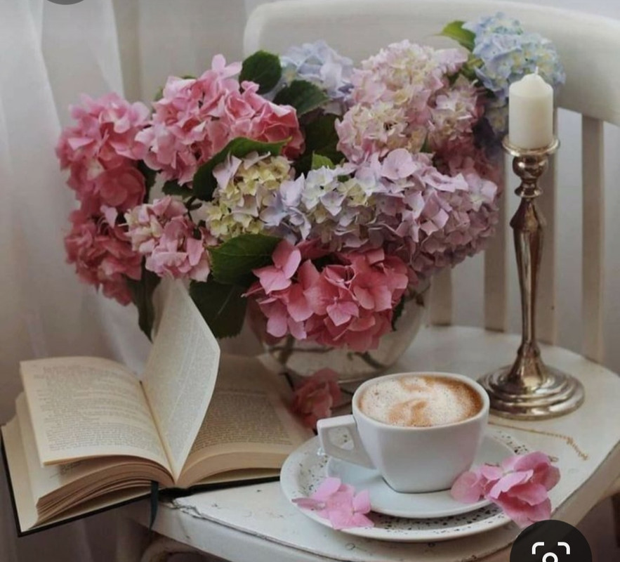 Screenshot_20230420_235749_Pinterest