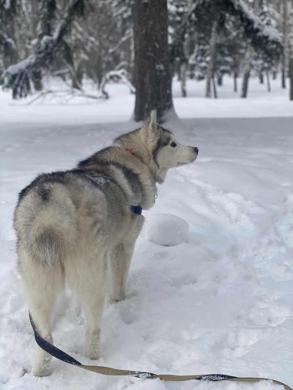 2D477E79-44A1-446B-8D8E-67989E645F4F