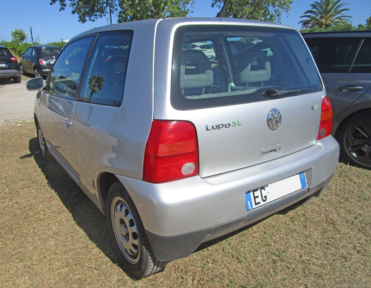 IMG-8822.jpg
