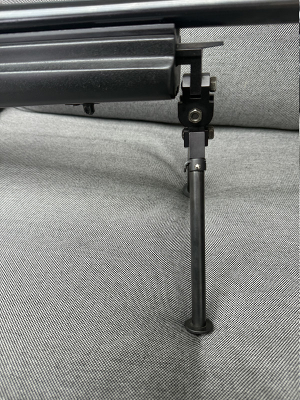 Graviertes Gewehr Ansicht 6