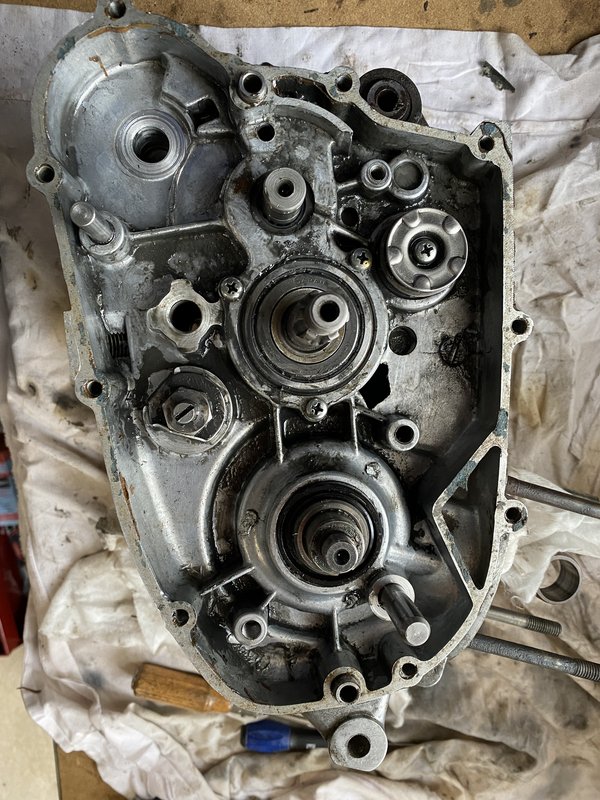 8FFC981D-4AAE-4A04-8566-315E156987F1