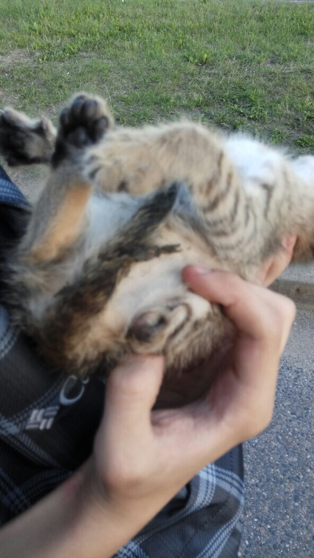 D9875ABC-68F7-4275-8C86-5B55E344FB33