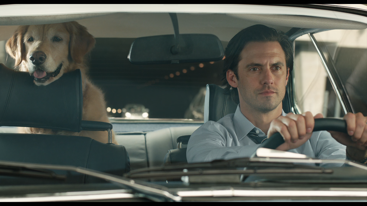 The Art of Racing in the Rain (2019) [1080p x265 HEVC 10bit BluRay AAC 7.1] [Prof]