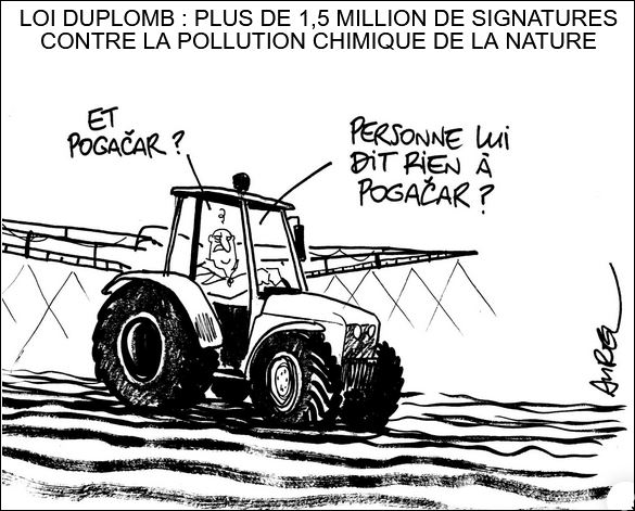 text alternatif