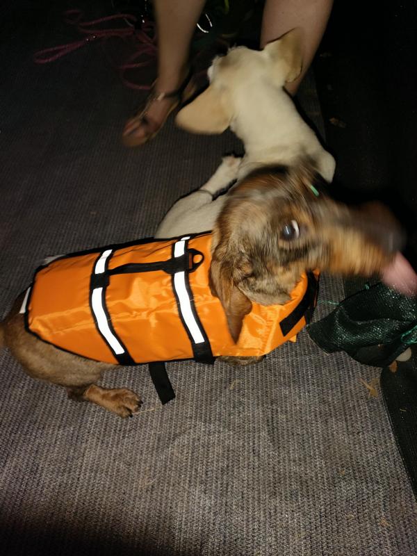 [Image: image0000001.jpg]