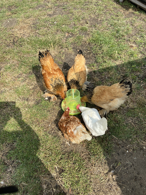 6701C292-625F-485F-BD08-CF422BFCBE1F