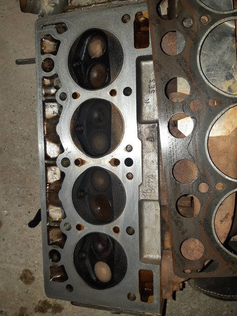 17596545943932797212332213011156